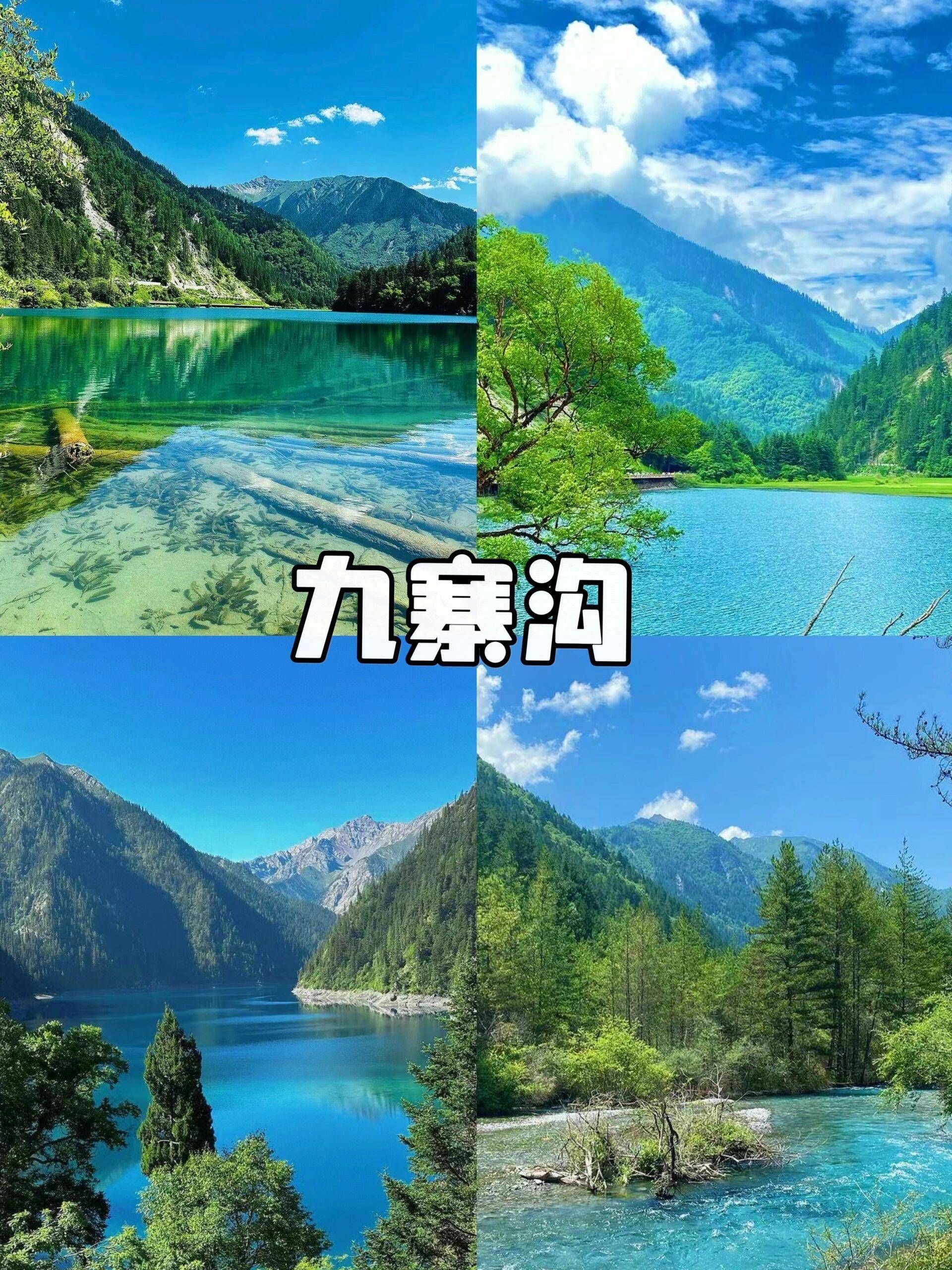 澳门富民彩官方资料-四川旅游6日游跟团花费攻略，独家揭秘！