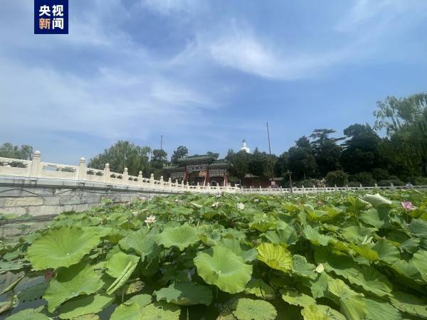 北京旅游攻略北京五日游 ，北京5日精华游，北京报团旅游