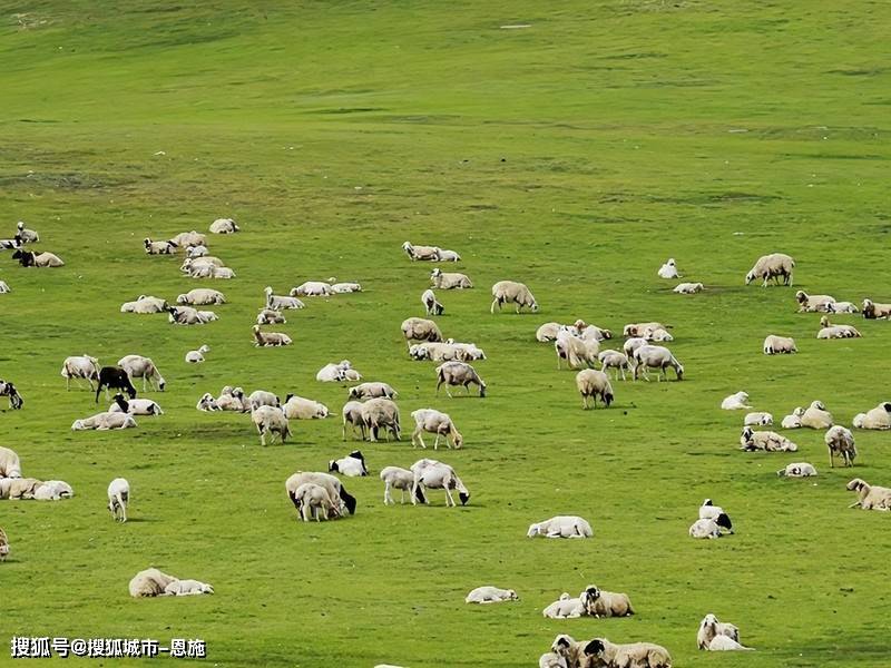 炸金花0.1元打底-合肥到重庆旅游团价格,费用多少 ,旅游的全面指南