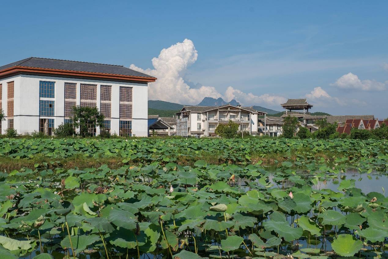 广西涠洲岛旅游多少钱|广西北海涠洲岛旅游4天3晚保姆级攻略！人均1080元