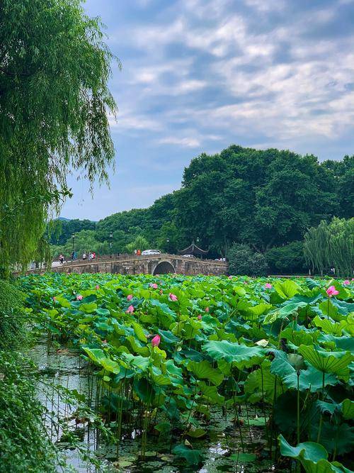 杭州景点大全旅游最佳景点，杭州4日游自由行攻略