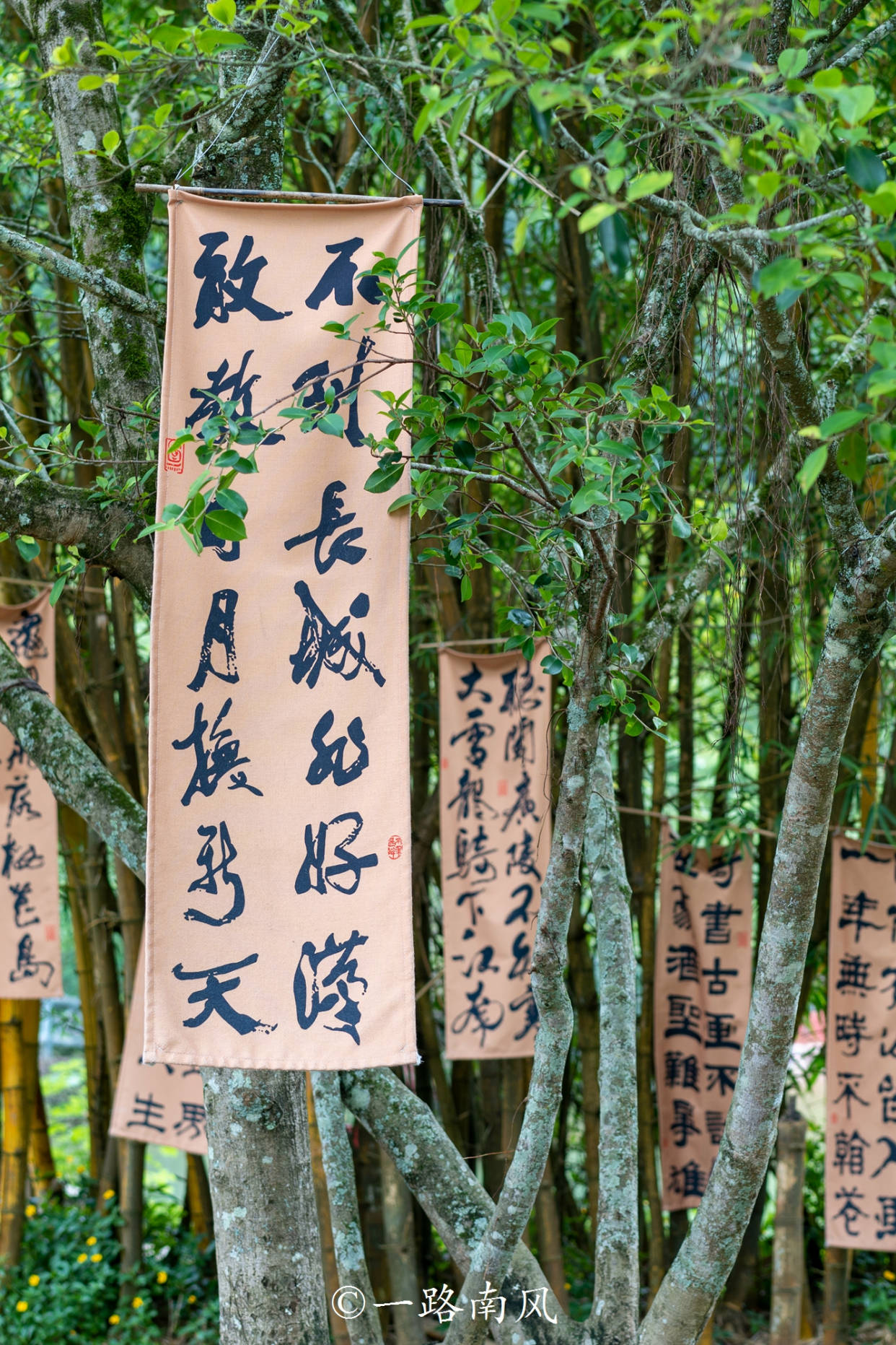 广西旅游发展集团与湖北文旅集团签署战略合作协议