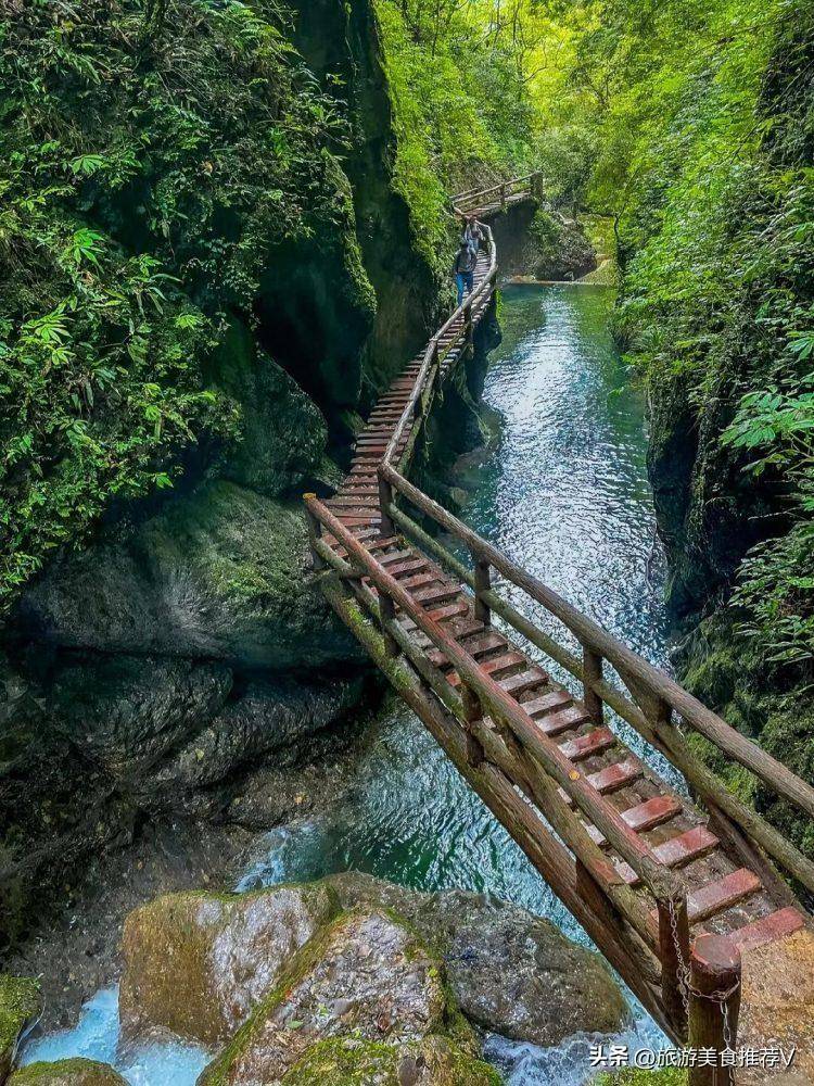 四川跟团旅游7天多少钱，金华到四川成都旅游花费，人均1500块