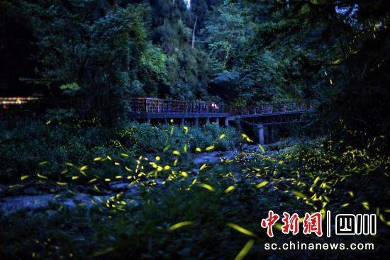 成都旅游7天6晚攻略亲授！完美七日六晚成都之旅！