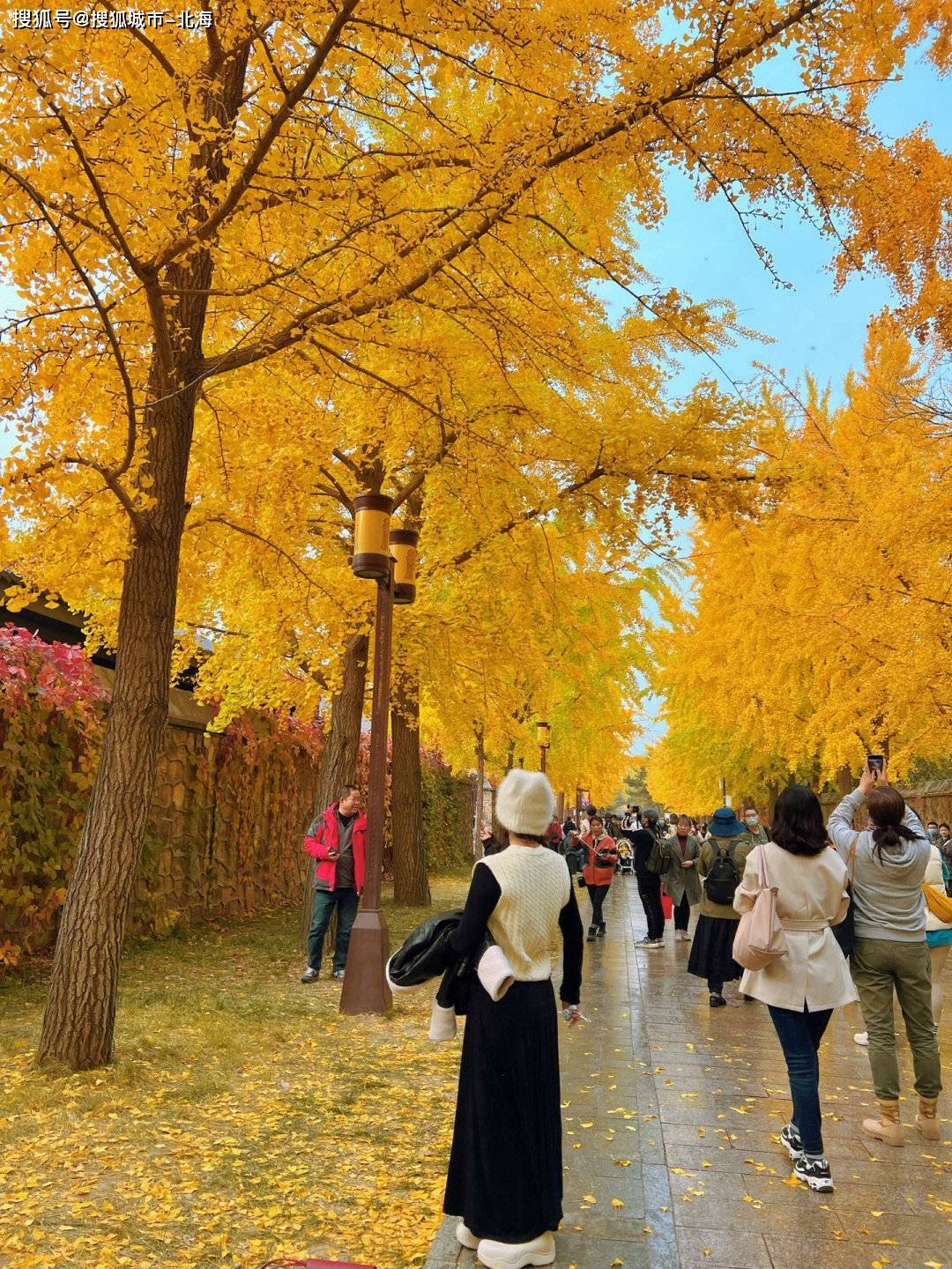 多乐网手机彩票-北京旅游四天三晚多少钱？北京四天自由行旅游攻略