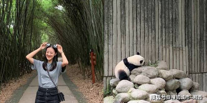 快赢彩票网-去四川旅游八日游线路,少走弯路