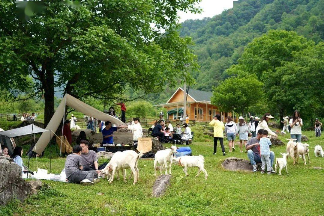 浙江：女子陪男闺蜜旅游，回家发现男友已搬家，瘫坐地上大骂绝情