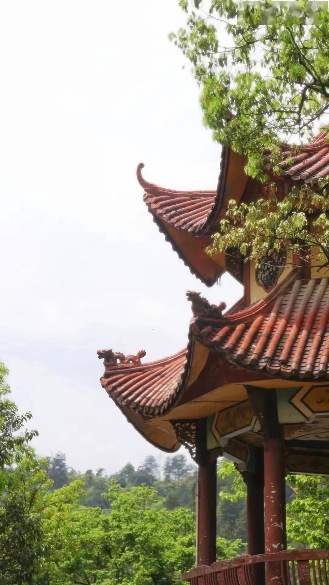 两人扑克黄黄-淡季去峨眉山旅游七天大概预算需要多少，浙江到四川峨眉山七天游报价多少