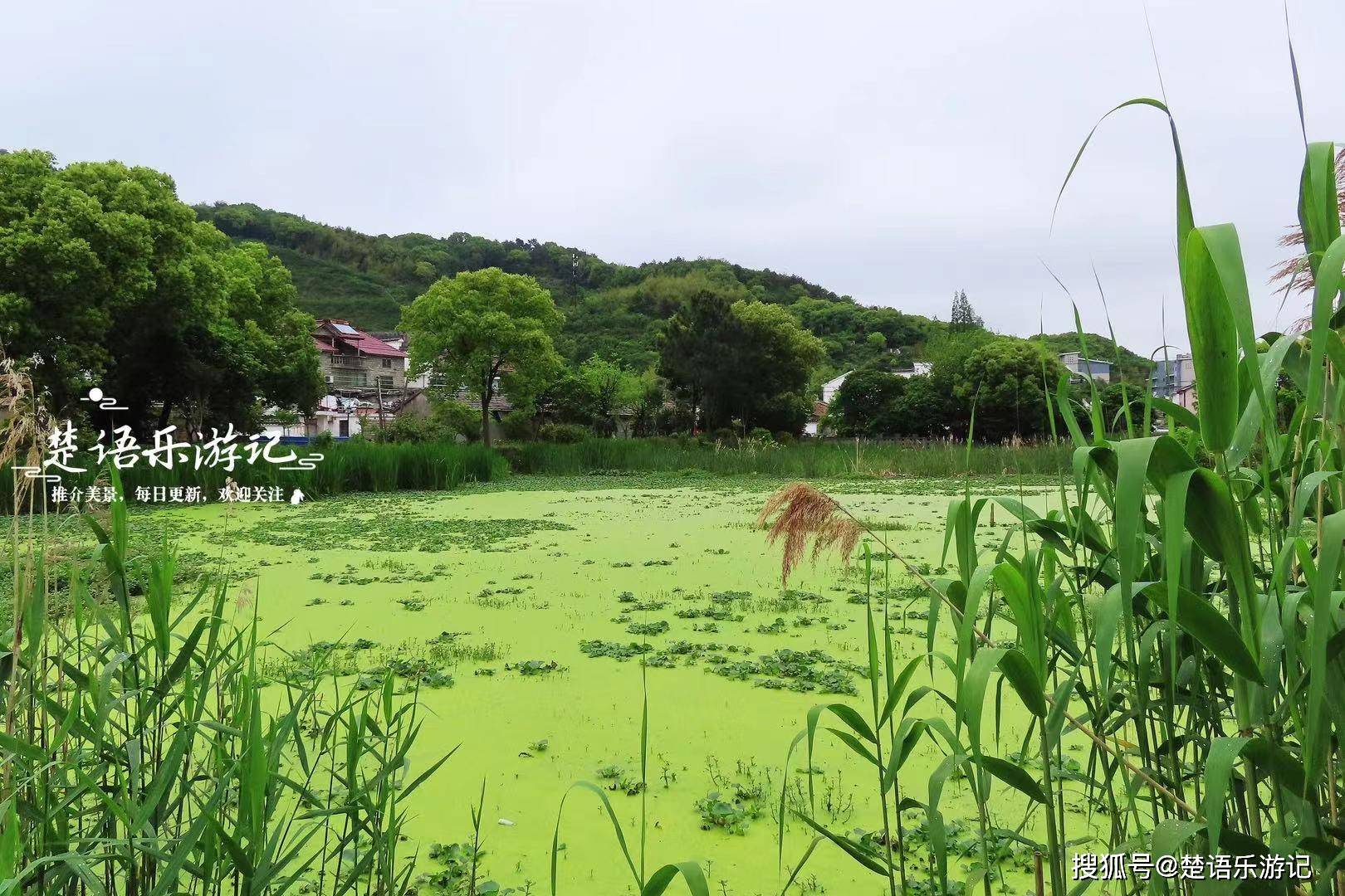 浙江安吉：以非遗为点 走出旅游发展新路径