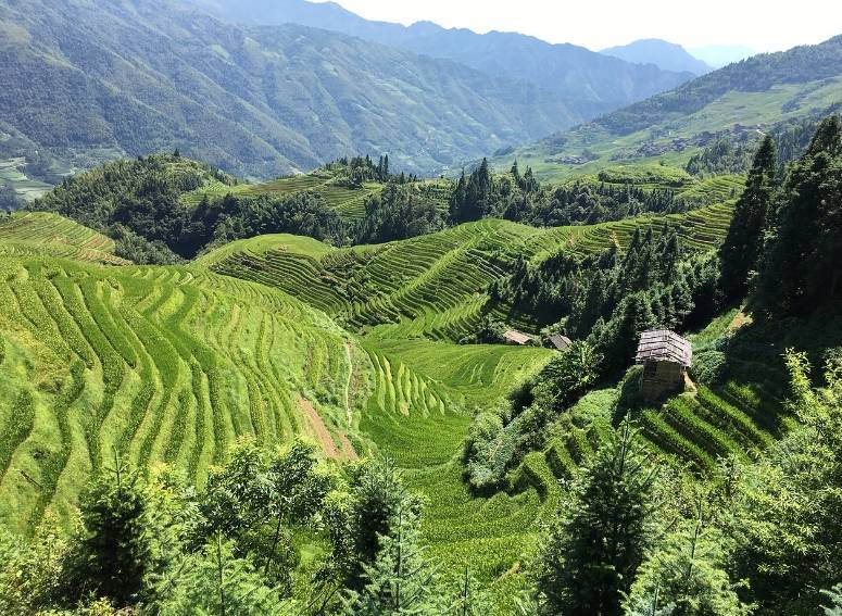 幸运赌场700800资格最老信誉最好-到了桂林旅游怎么玩：金坑梯田日出与阳朔山水日落之美