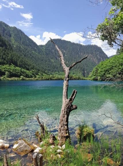 倍投稳赢的方法-四川旅游6天要多少钱，浙江到九寨沟6日游大概费用多少，仅需1200，省钱看这篇