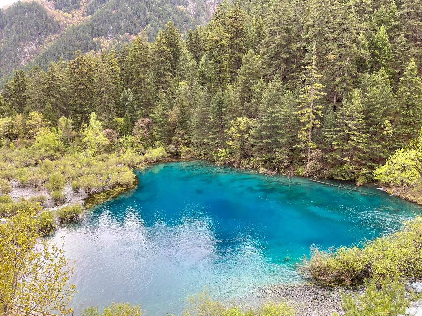 合肥至张家界旅游攻略,需要多少钱 ,带你领略它的美哟