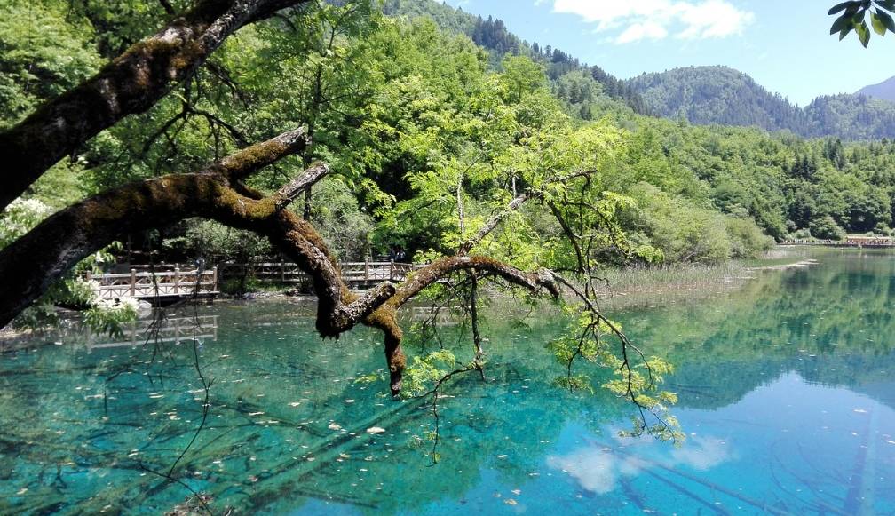 重庆到四川旅游最佳路线 ,花五分钟看完以防入坑哟！