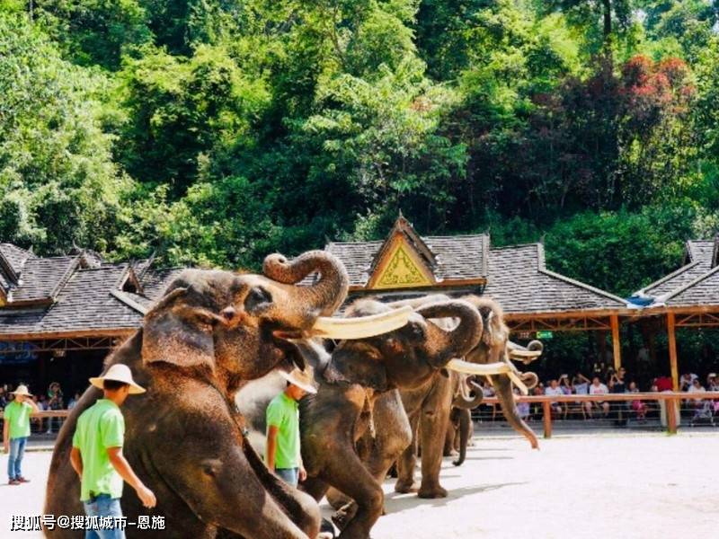 大发彩票破解器-安徽黄山4天旅游行程，黄山四日攻略及费用，本地人力荐旅游攻略