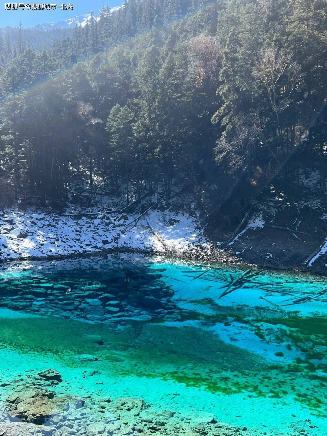 成都旅游一天攻略自由行攻略 ,想去旅游建议码住这篇！