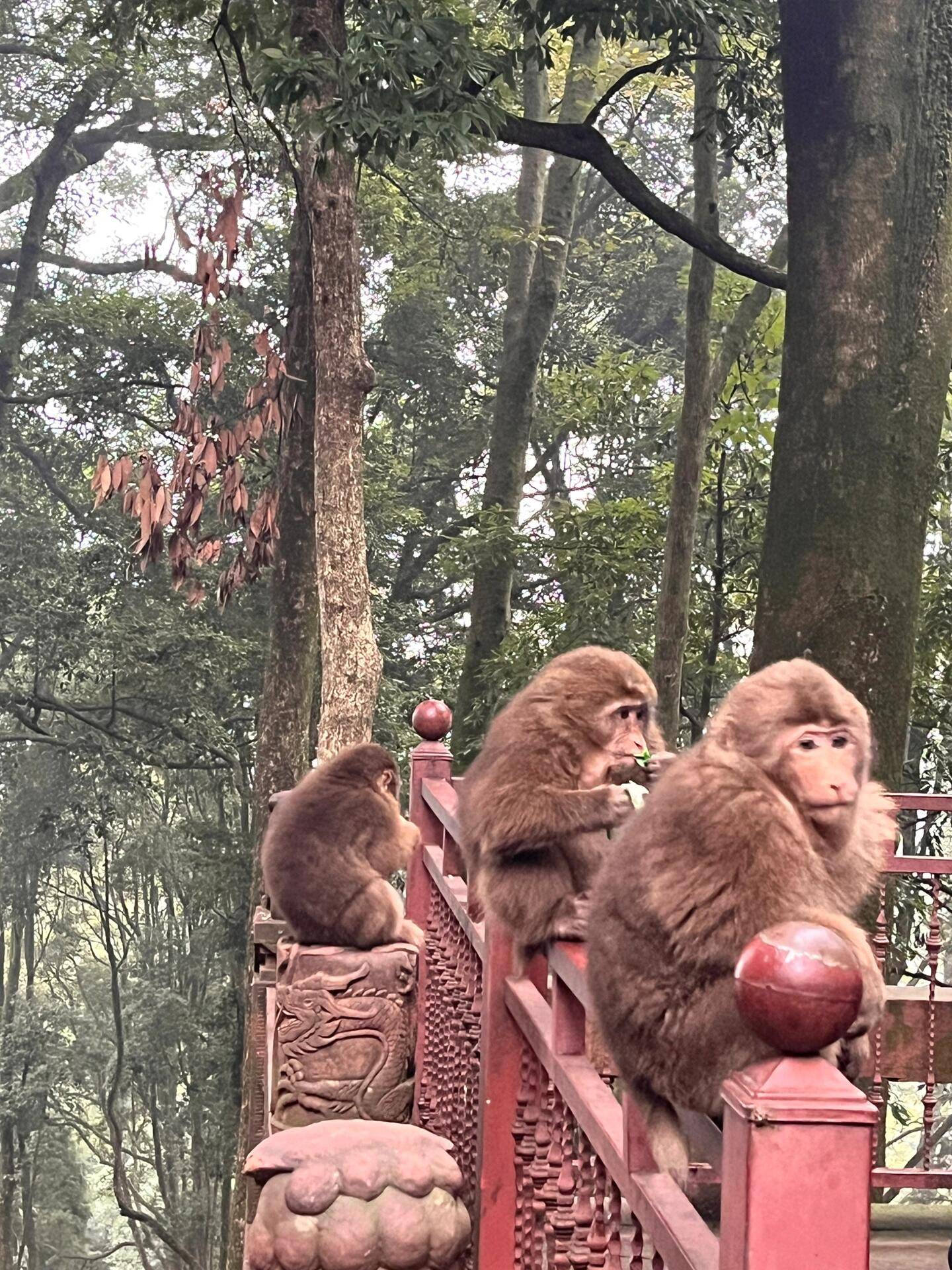 6234彩票最新版免费下载-四川旅游6日游攻略 ,亲身经历讲述：享受旅行的快乐