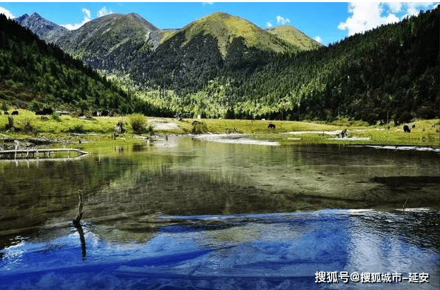 电子游戏注册彩金申请-四川旅游景点推荐，四川旅游超好玩！