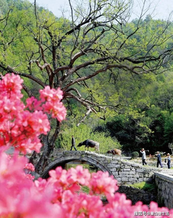 廉江三脚鸡怎么下载-从安徽去张家界旅游报价,团费多少？我来揭秘！