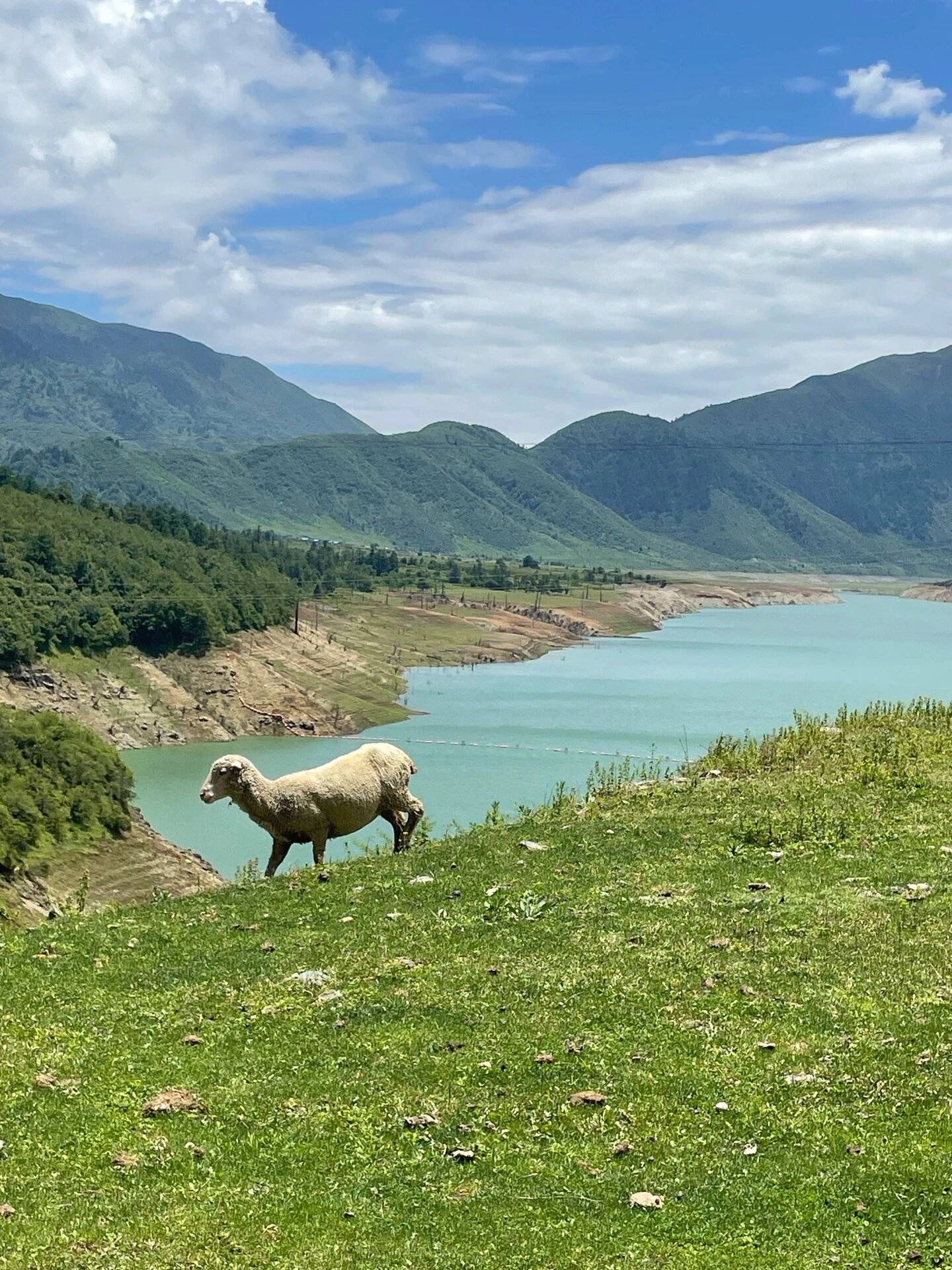 两个人去四川旅游六天五晚多少钱？四川跟团六日游旅游攻略，收藏