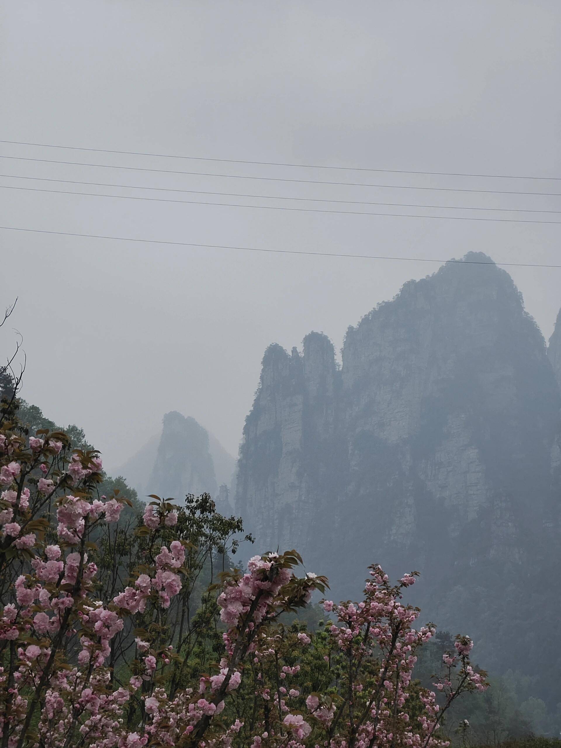 震撼！天津到张家界旅游线路大揭秘