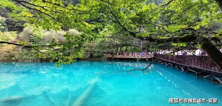 体育博彩app-沈阳到成都旅游报价 , 节约旅游费用，让你的旅行更加充实！