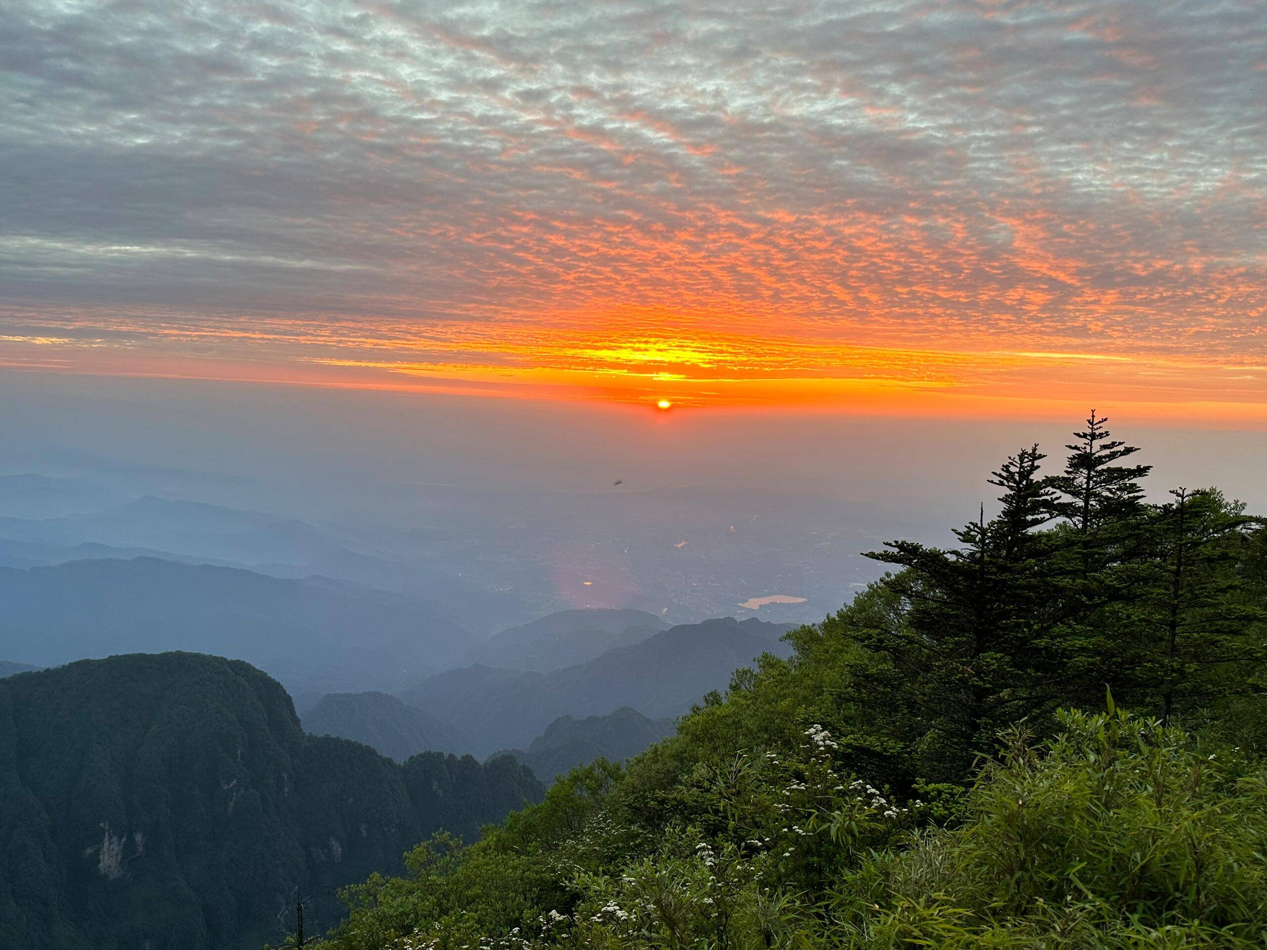 成都旅游4天景点攻略，带你领略成都的魅力！