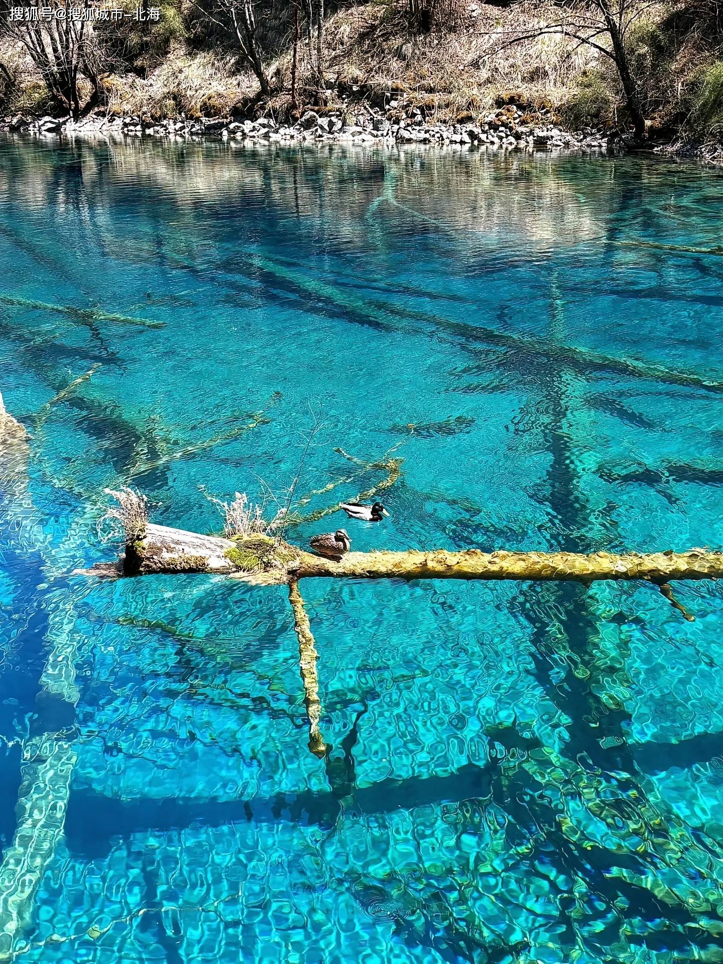 暑假去四川旅游四日游多少钱,熬夜整理