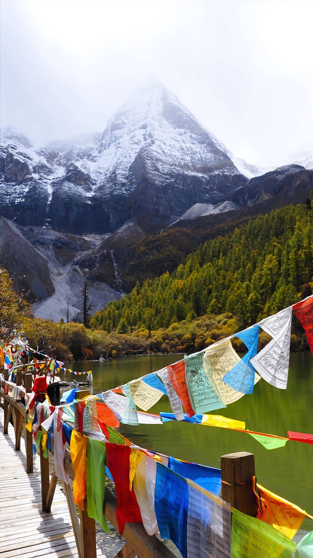 成都亲子游4天3晚，成都四日亲子游攻略，吃住行保姆式旅游