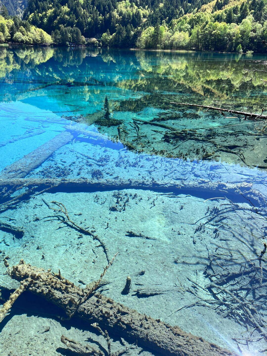 湖南张家界武汉旅游攻略 ,全是干货