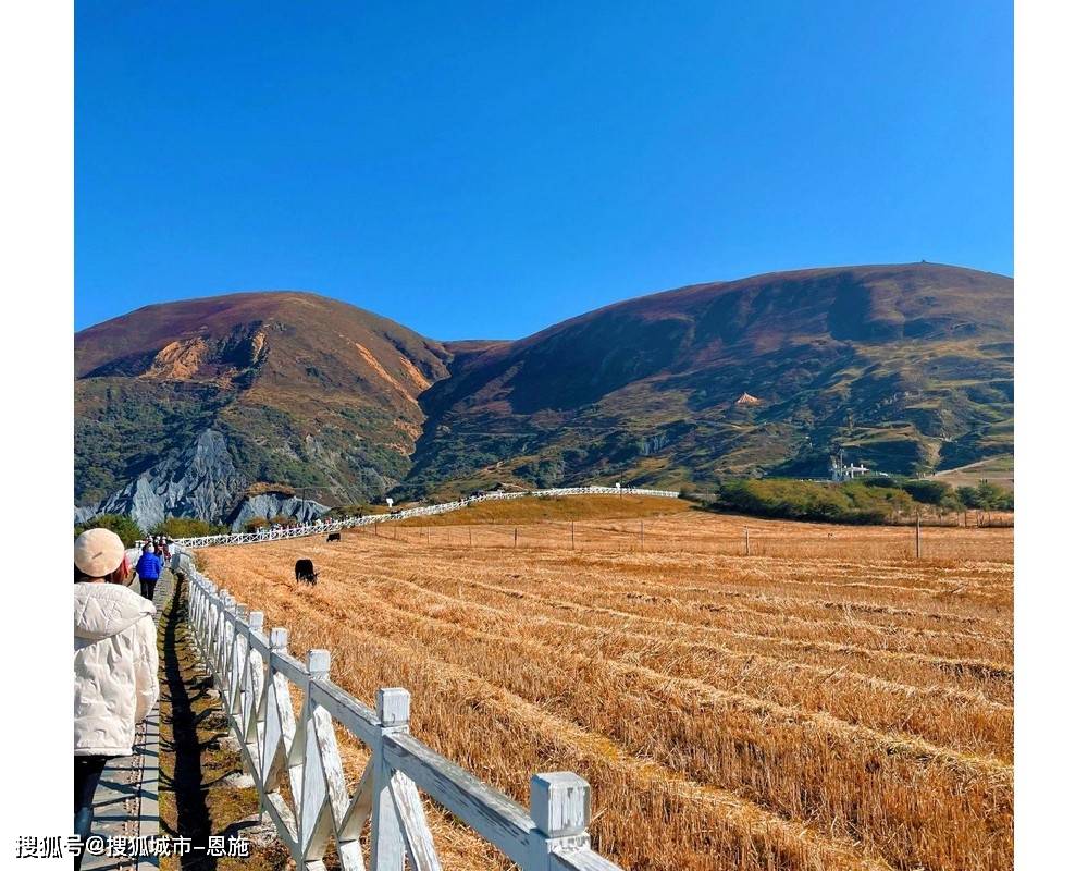 四川旅游4天环线推荐 ,怎么玩有趣，看完就清楚了！