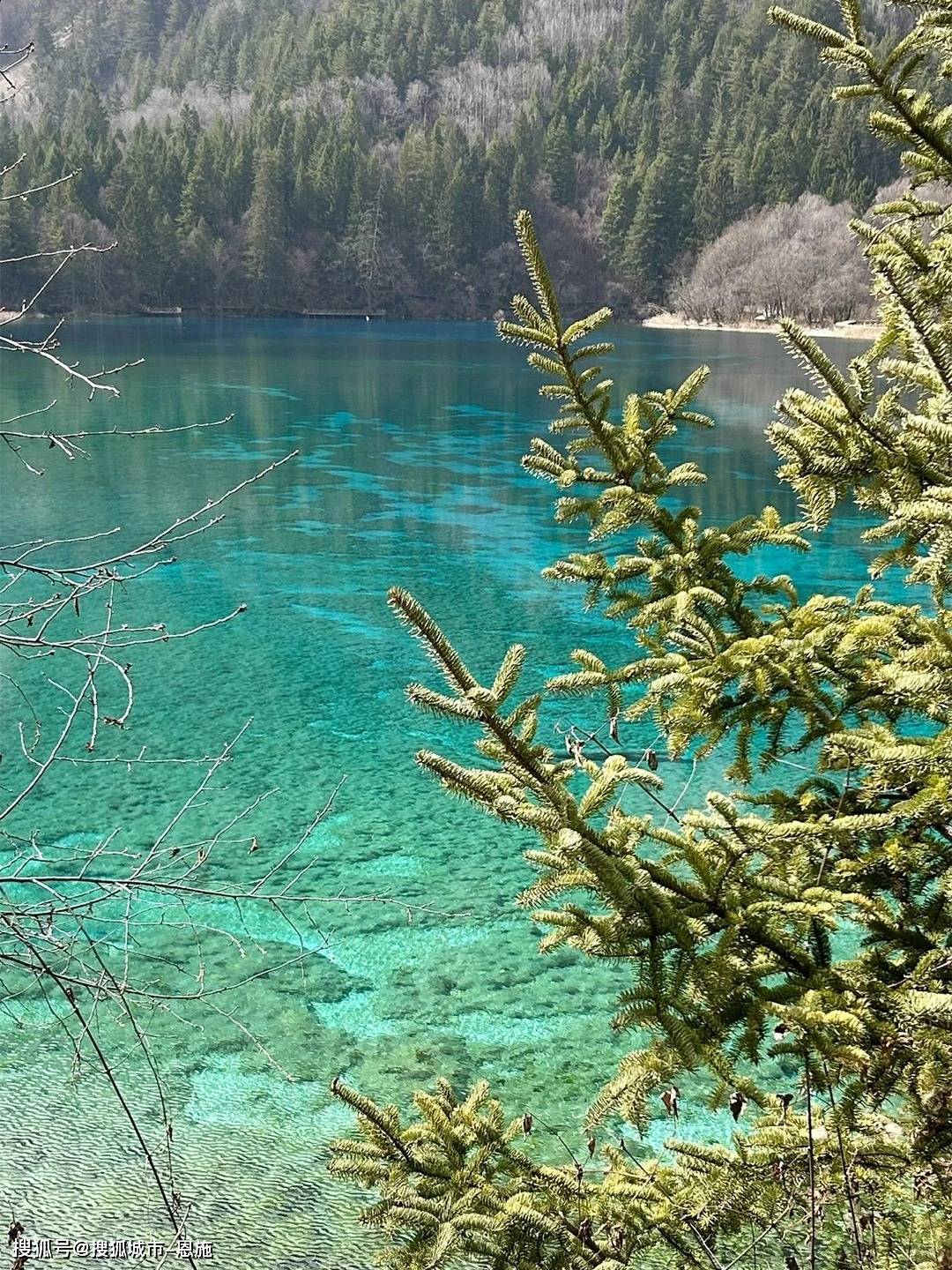 去四川旅游的攻略 实用避坑攻略，游前必看！