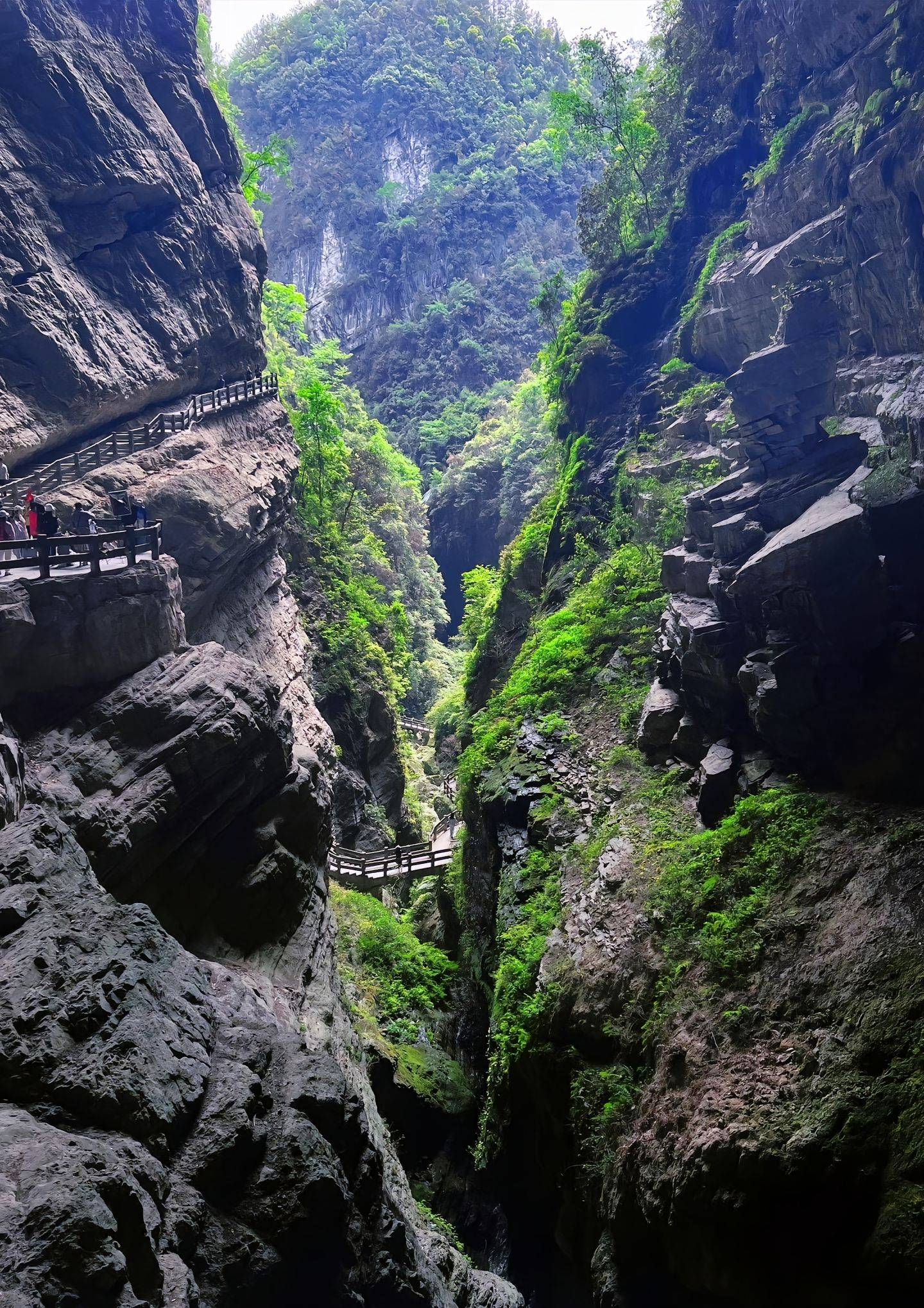 澳门葡京在线平台-重庆旅游3天最佳路线 ,若想避坑，那就快来了解