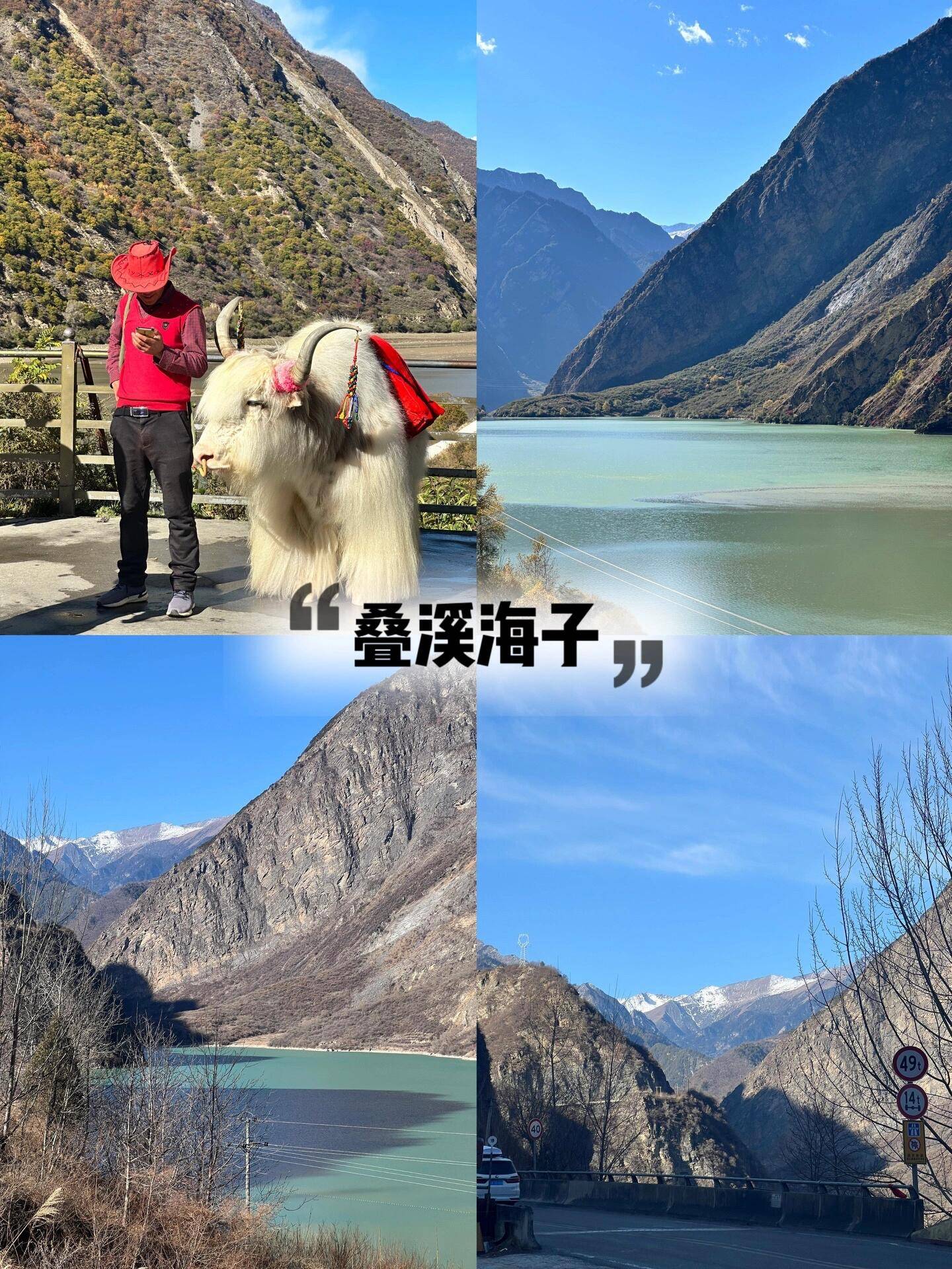 去四川旅游七天大约多少钱，济南去九寨沟跟团游玩花费，1200人均