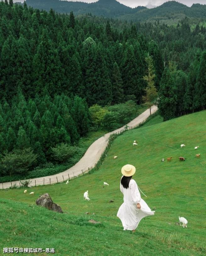 天津跟团去四川旅游五日攻略，5天4晚跟团游青城山都江堰游玩路线