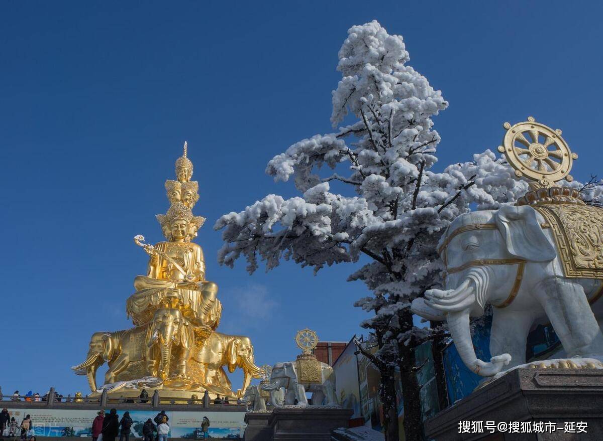 去四川旅游5天4晚需要多少钱？去四川旅游一趟跟团需要多少钱