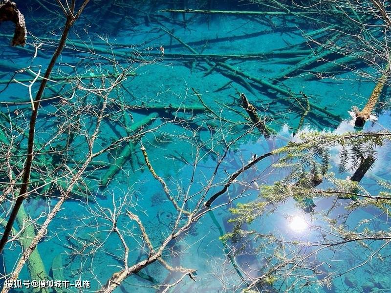 四川旅游5天多少钱 ,让你的旅行不再迷茫