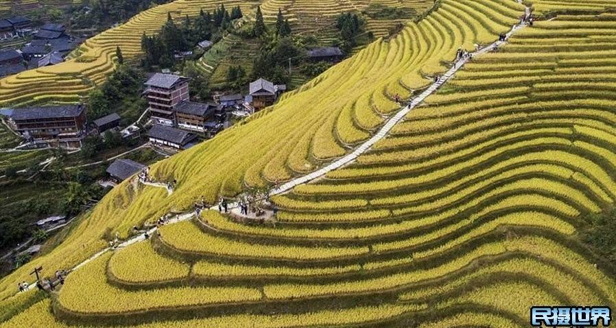 赢咖3-到桂林旅游跟团游怎么选，景点、住宿、美食分享