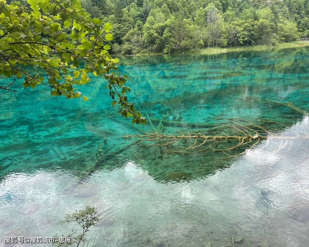 潍坊到四川阿坝州旅游5天多少钱，两人去四川旅游跟团5天多少钱