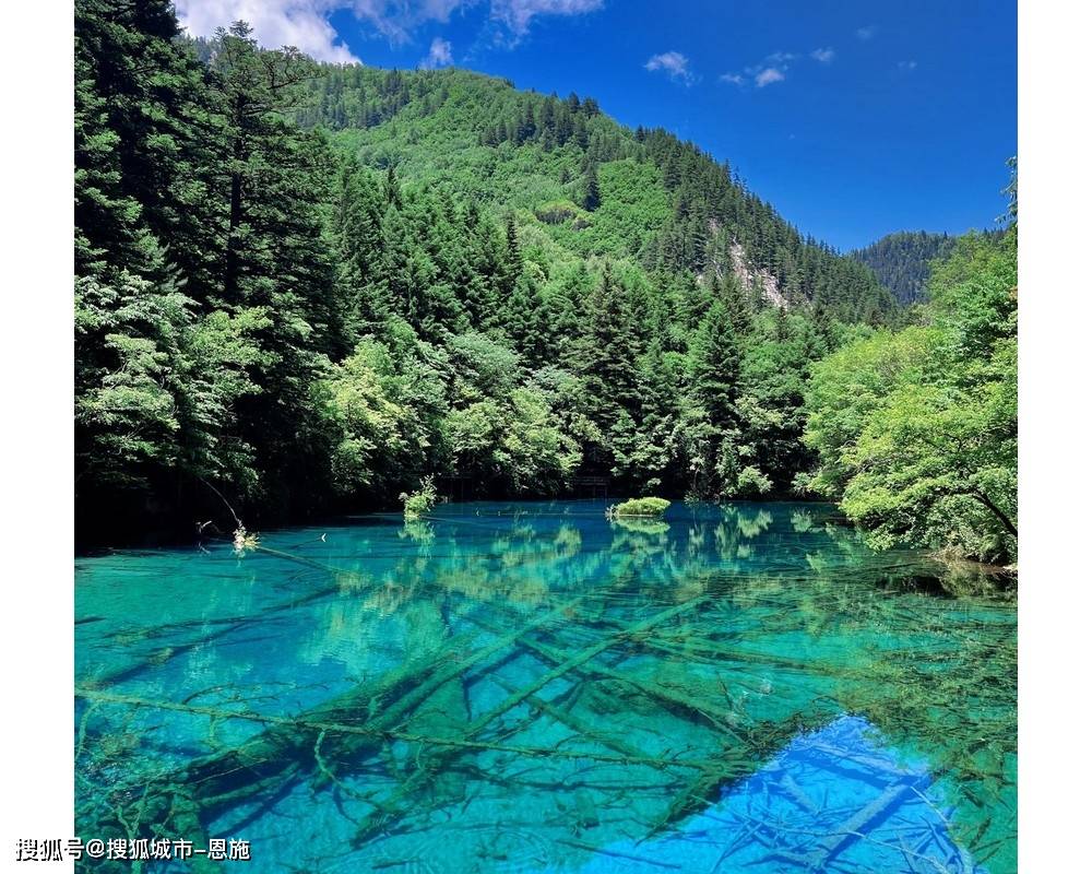 四川旅游四天行程怎么安排？参团去成都青城山最新价格