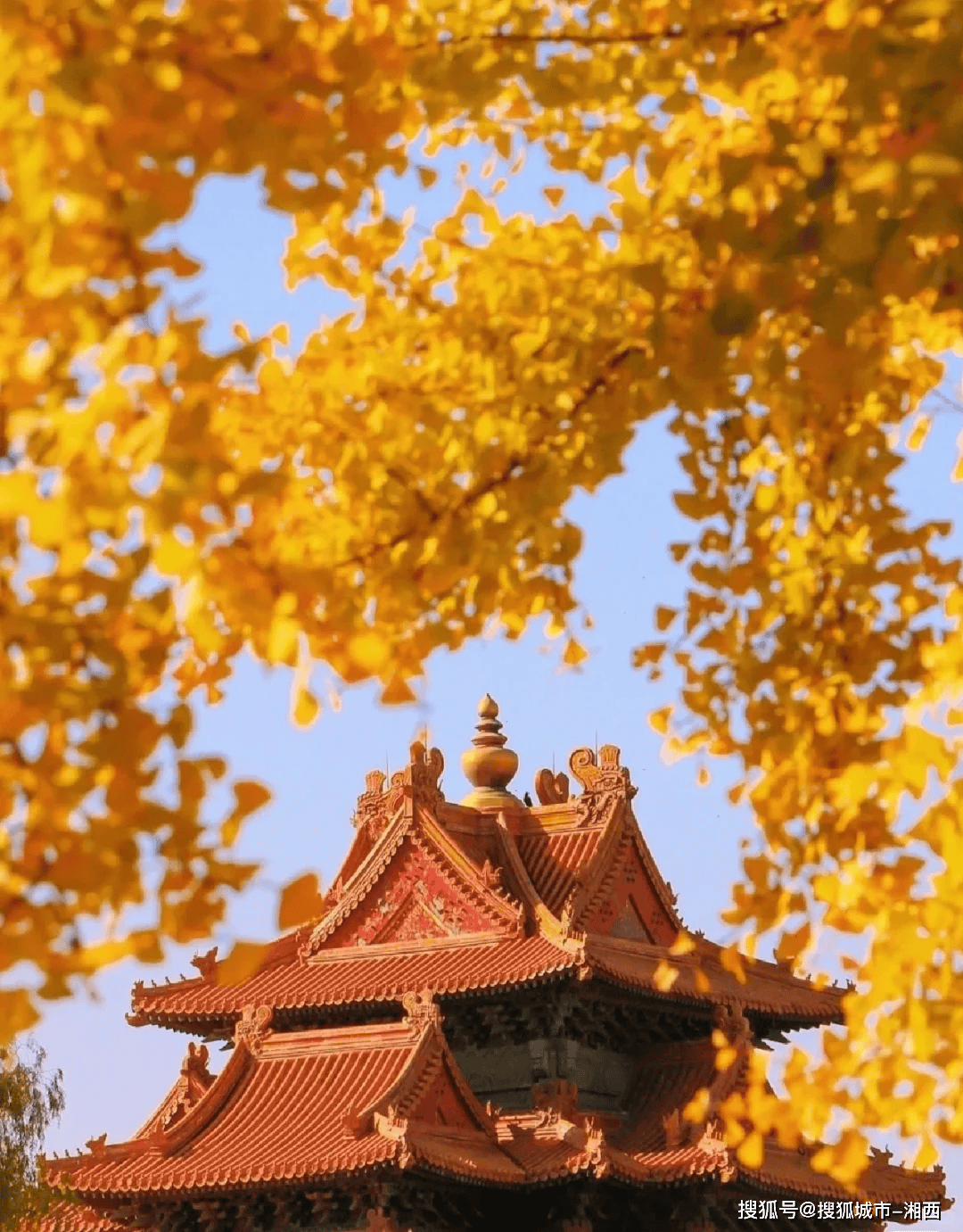 彩拾手机版下载-北京旅游公交又上新了 前门出发、夜游鸟巢水立方