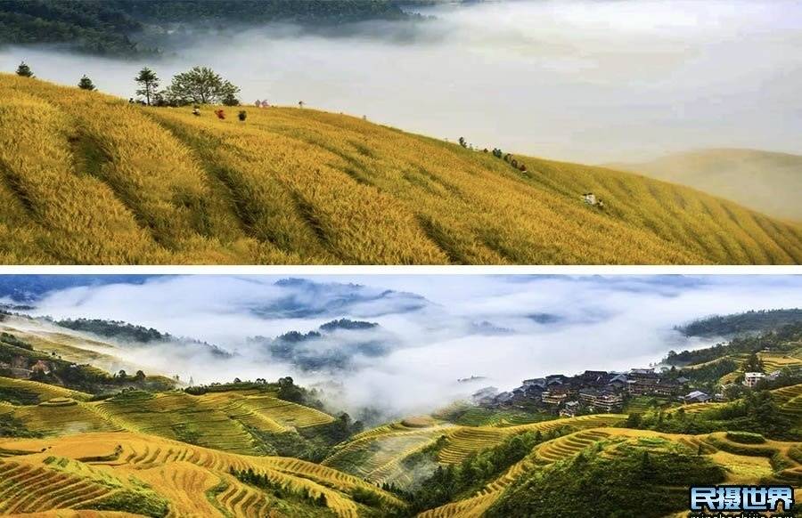 天下国际娱乐一诚信平台网址-桂林旅游靠谱的本地向导推荐，6日游怎么安排合适