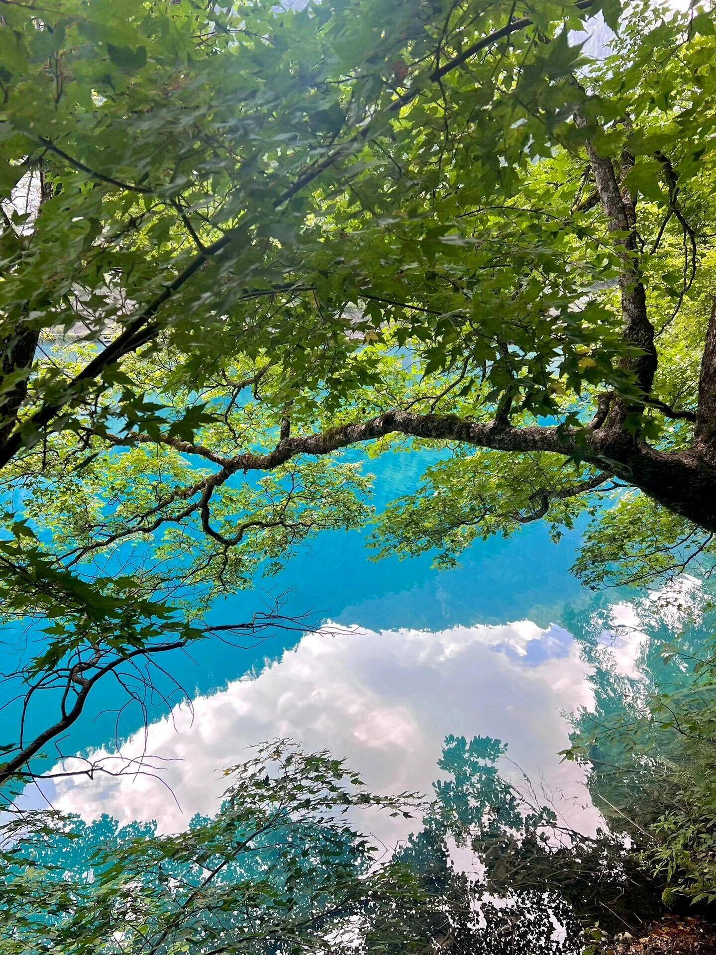 成都旅游景点推荐 ,出行攻略已备好，记得点赞收藏