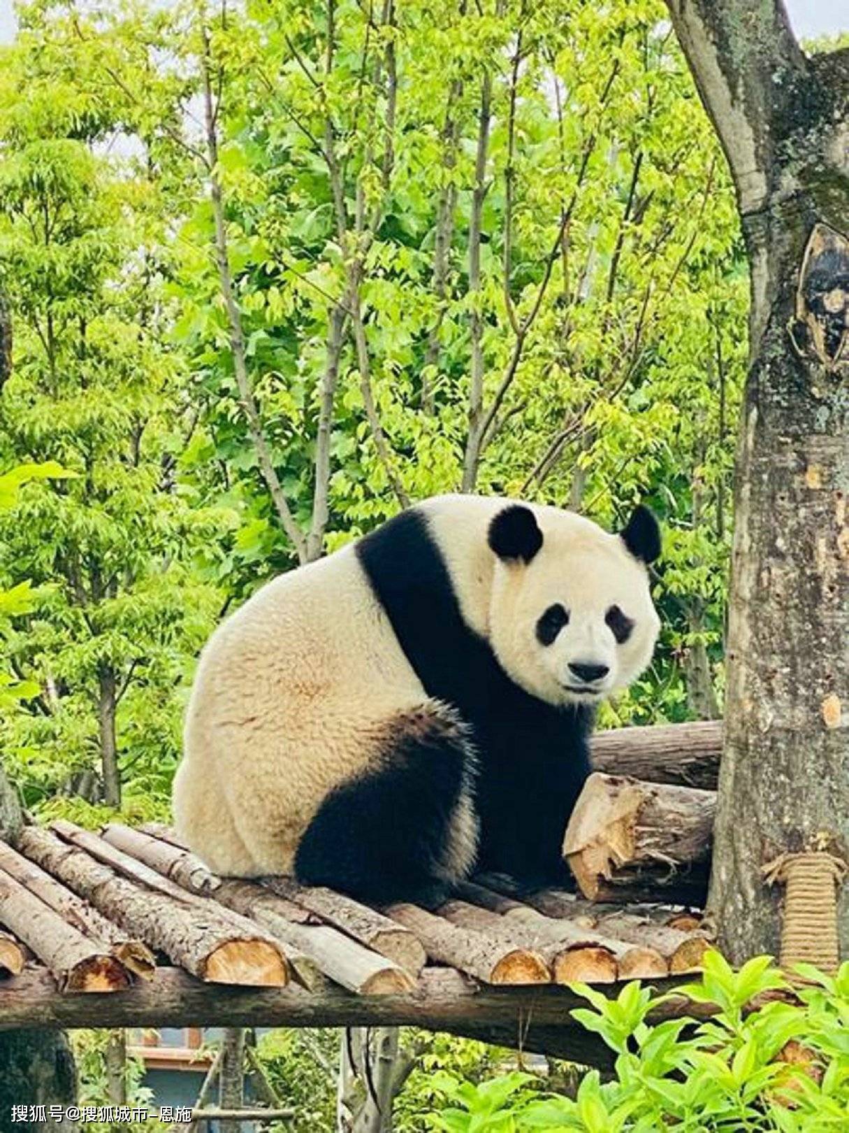 9月份去四川旅游一周旅游攻略,少走弯路