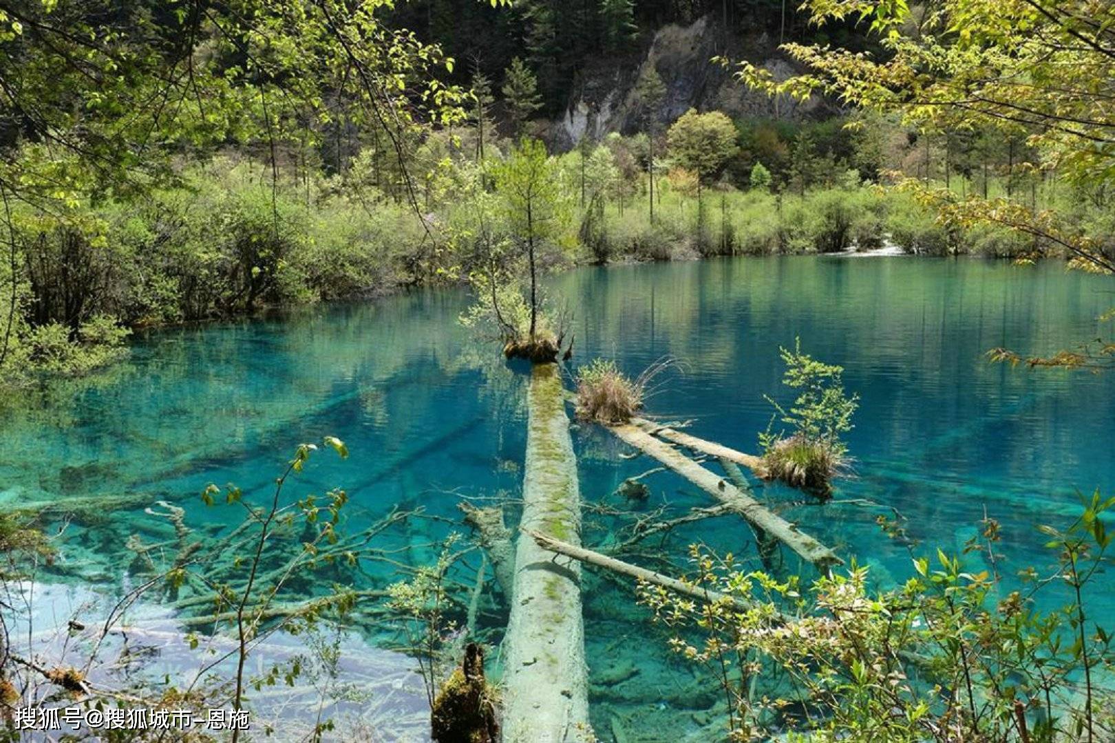 速发彩票平台-放假去四川旅游自由行费用，四川靠谱当地导游推荐