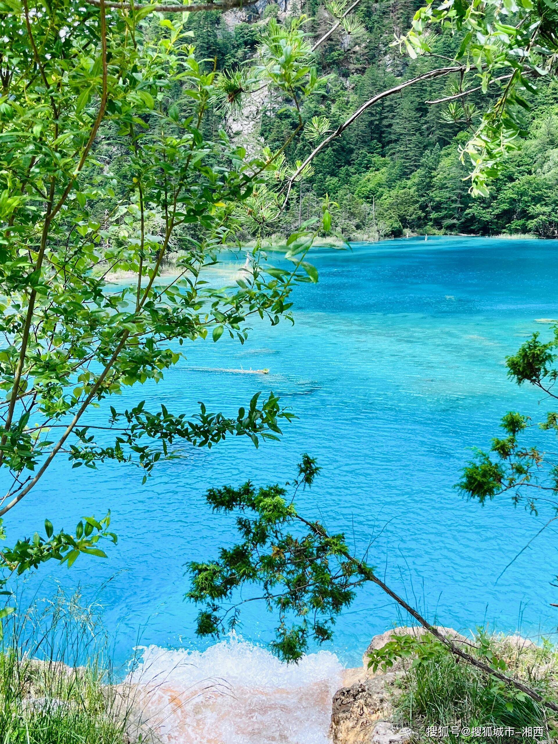 四川旅游四天攻略路线，找网友推荐的私人靠谱导游，体验超赞