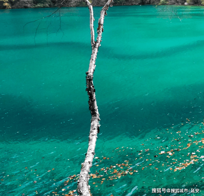 3D做号软件-去一趟四川旅游每人要多少钱，四川三日精品游价格1200