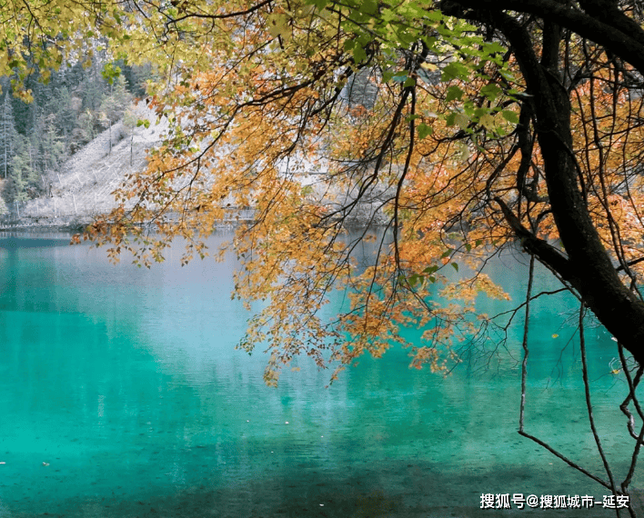 四川旅游靠谱私人导游怎么找，推荐的热门景点