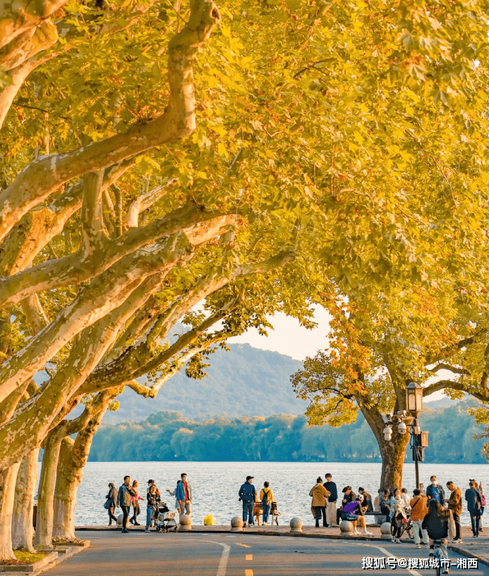 去杭州旅游三天要多少钱，杭州三天两晚旅游自由行攻略