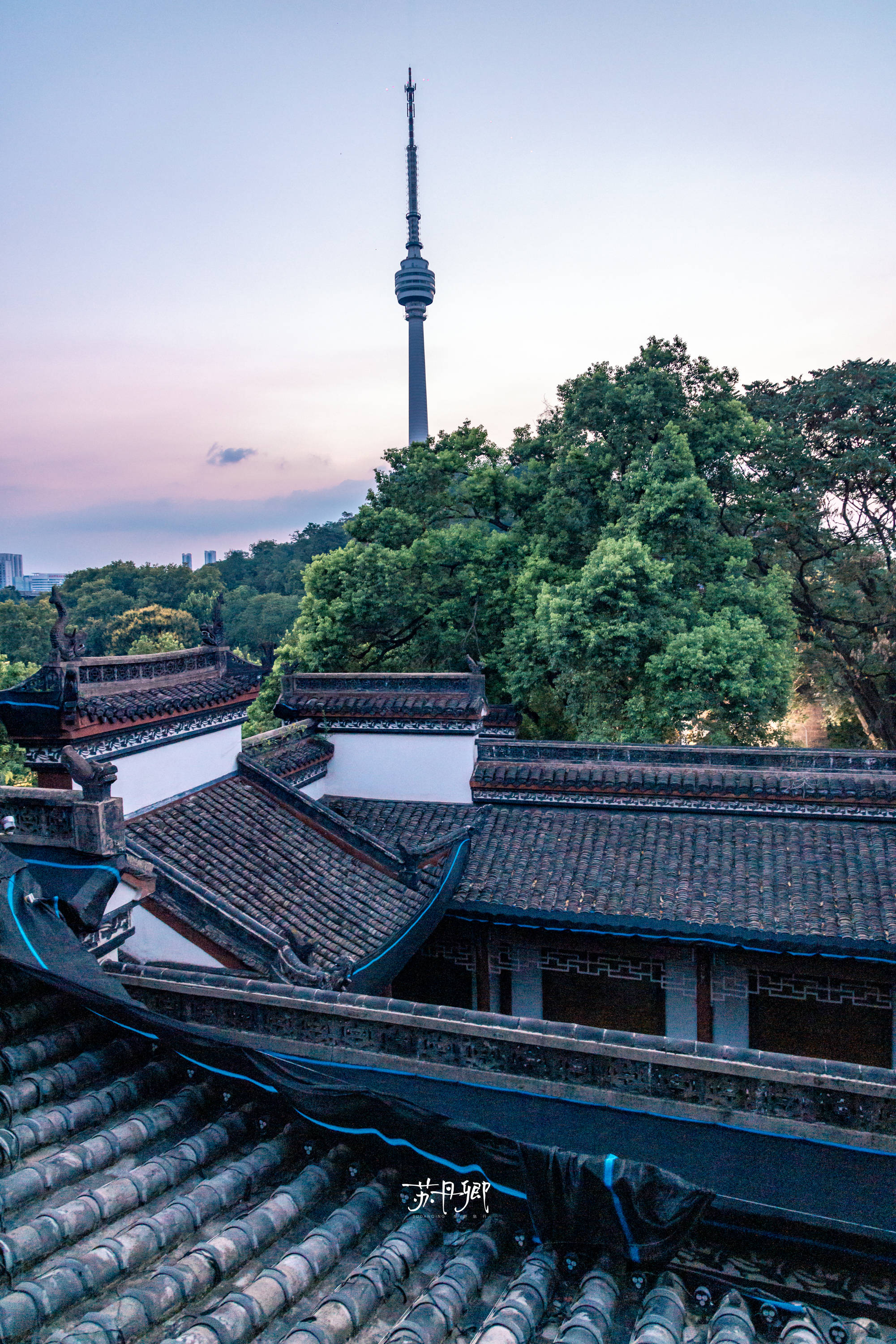 武汉到厦门旅游跟团 ,特色景点游玩攻略