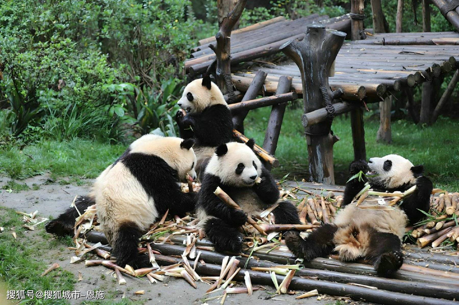 8月去云南昆大丽旅游六天大约多少钱，烟台去云南昆大丽6日游花费多少钱